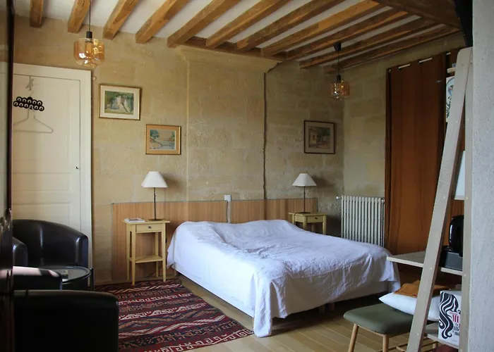 Doué's Mansion 3* Doué-la-Fontaine